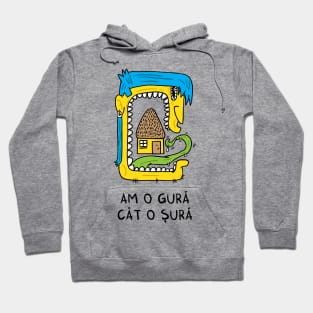 Am o gura cat o sura Hoodie